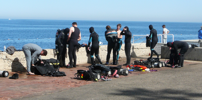 Catalina Diving